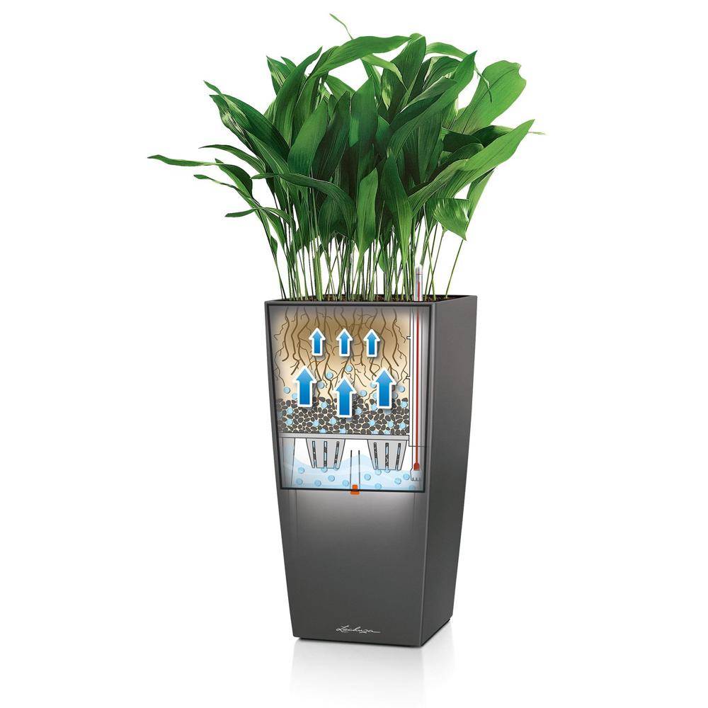 Lechuza - Cubico Premium 22 - kit complet, anthracite métallisé 41 cm Lechuza - Imagen 4