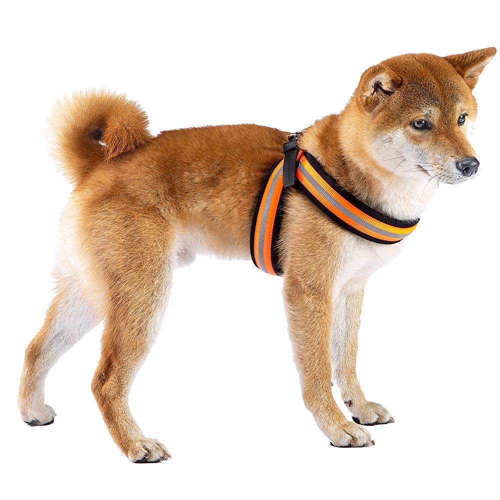 Ferplast - Harnais chiens haute visibilité micro-réglage AGILA REFLEX 5-9 Ferplast - Imagen 3