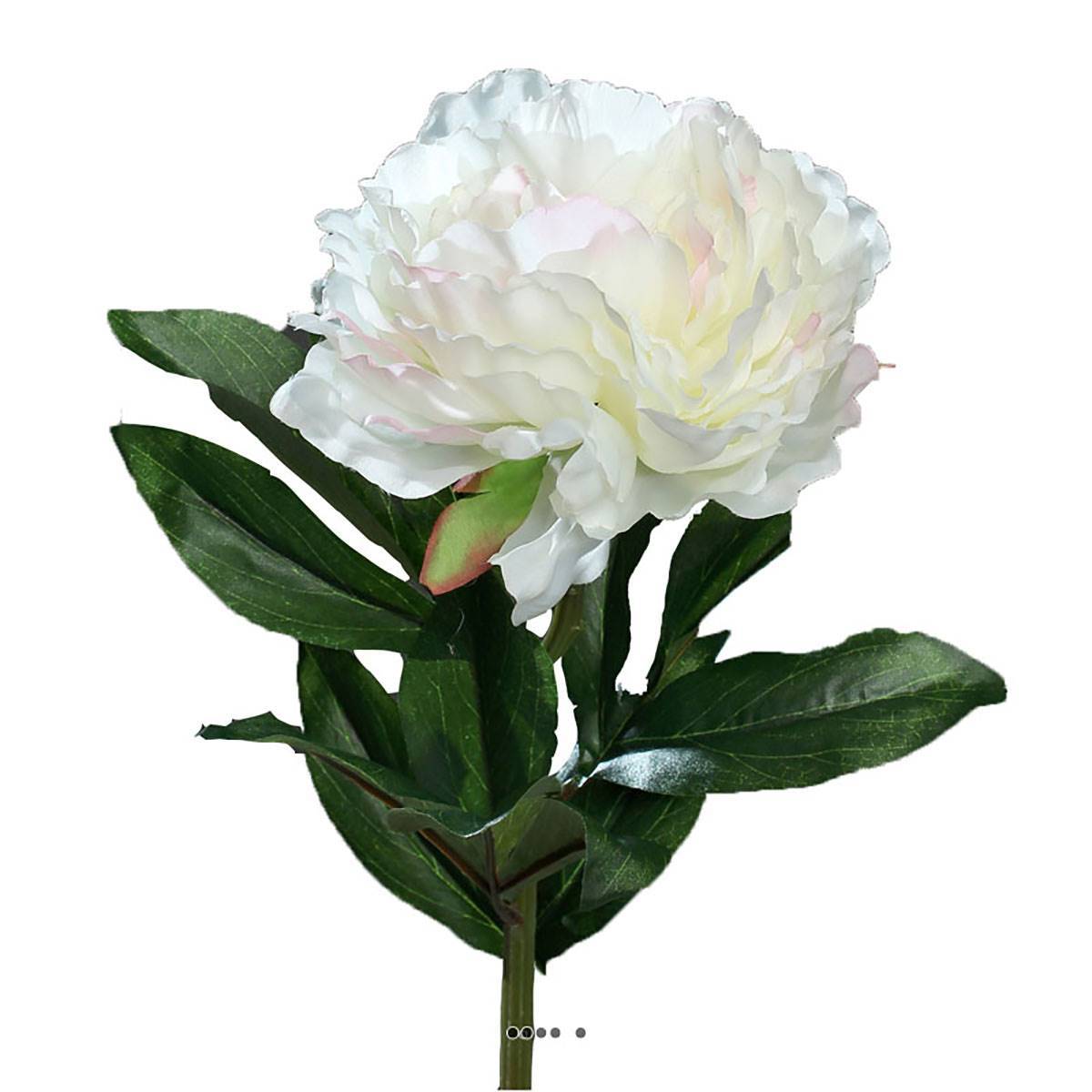 Artificielles - Pivoine artificielle crème Rose H 63 cm très belle tête - couleur: Rose-crème - Imagen 1