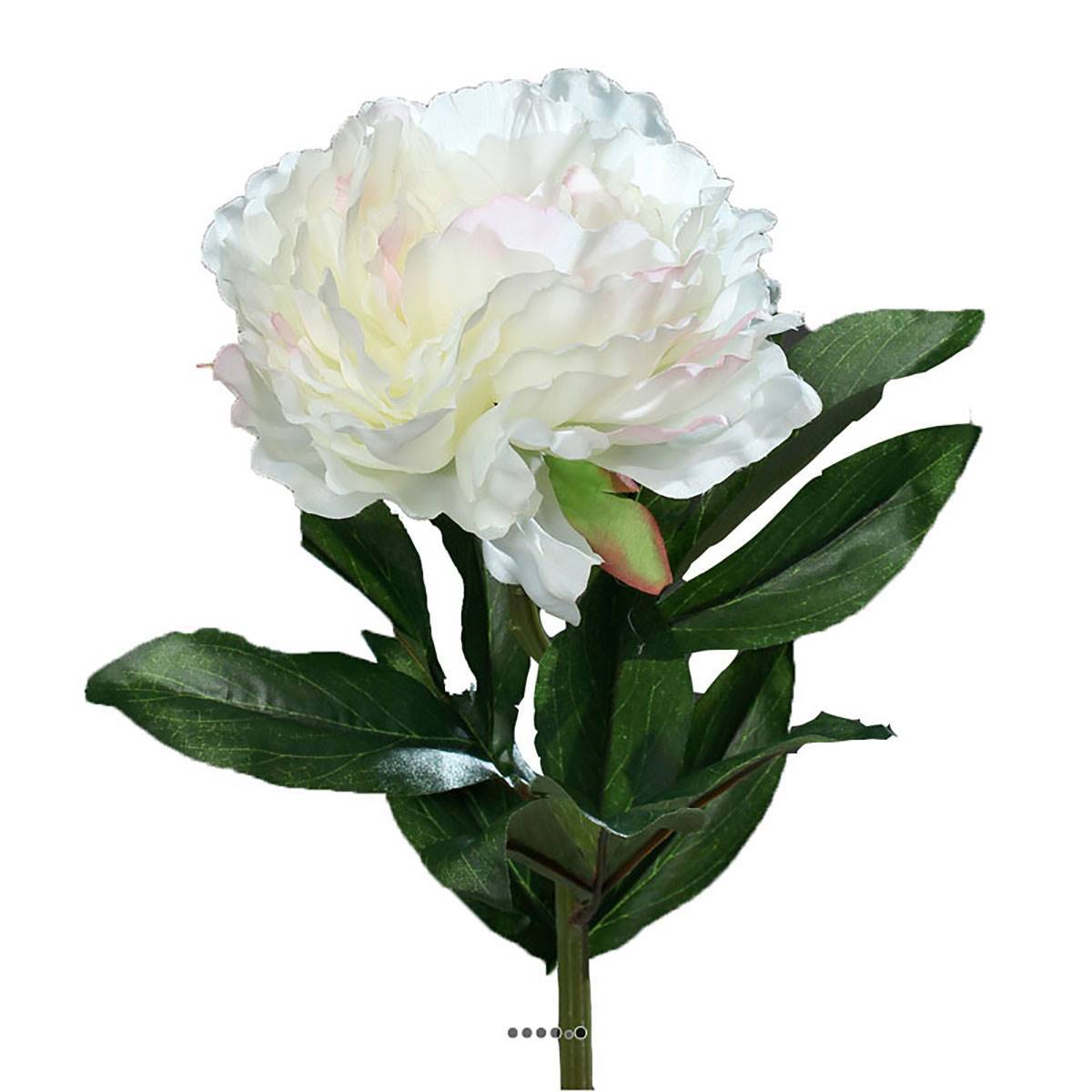 Artificielles - Pivoine artificielle crème Rose H 63 cm très belle tête - couleur: Rose-crème - Imagen 2