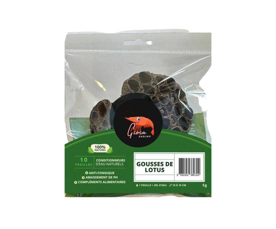 Gioia SHRIMP Gousses de Lotus x2 / Décors/Conditionneur d'eau Naturel pour Votre Aquarium/Poissons, Crevettes/Cachettes