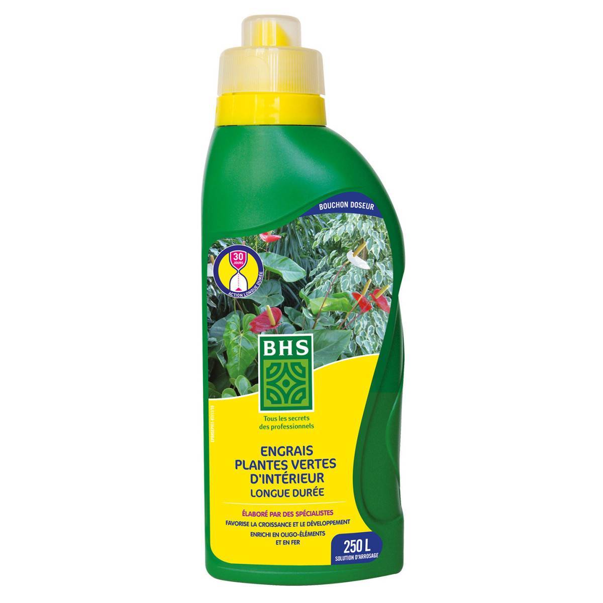 BHS - Engrais BHS EPVI1 pour Plantes Vertes - Nutrition Optimale en Intérieur