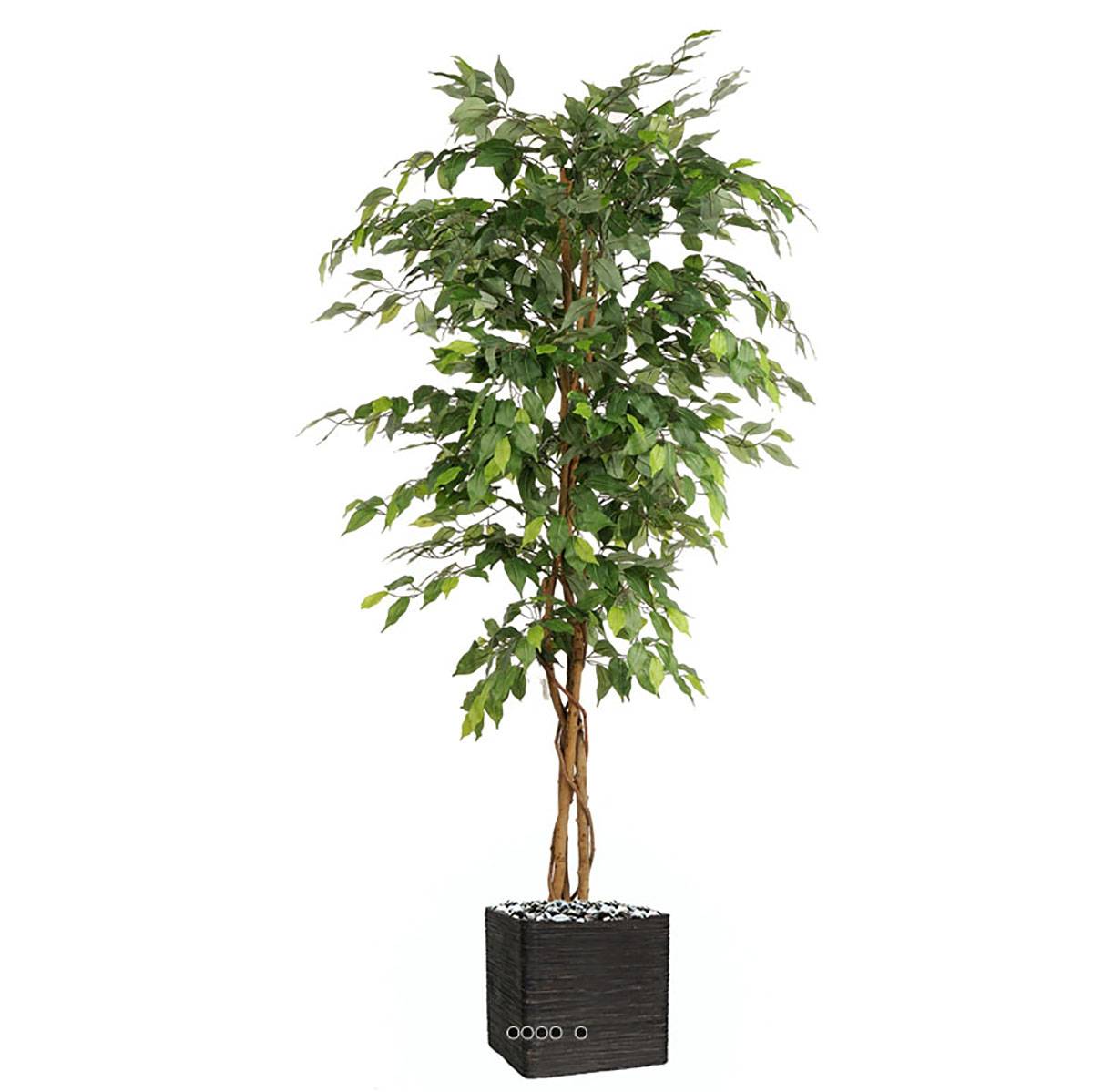 Artificielles - Ficus artificiel abai H 180 cm 1134 superbes feuilles Qualite Pro - dimhaut: H 180 cm - couleur: Vert 430