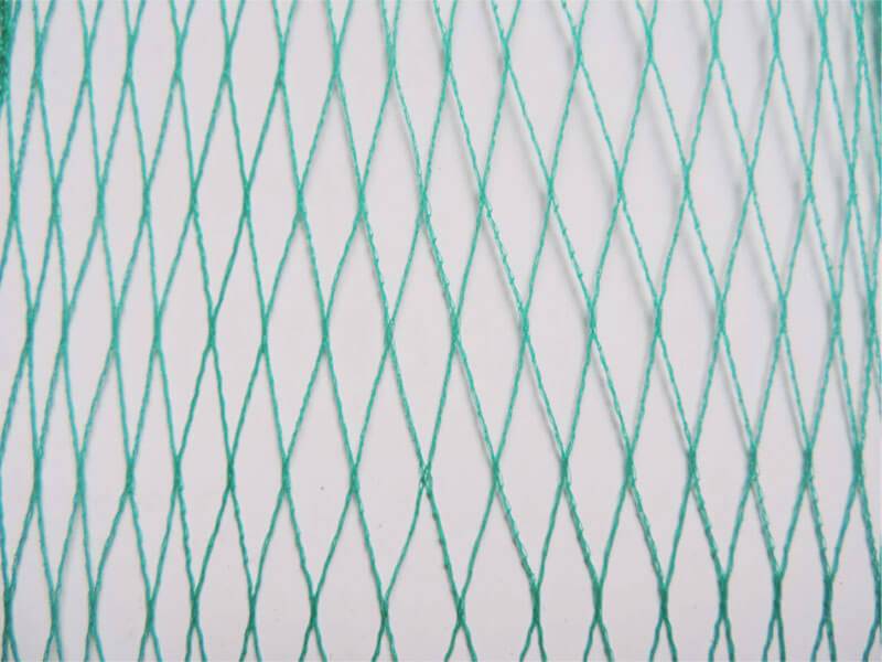 Filet anti-oiseaux - Maille de 25mm - Grande dimension Vert 8m x 100m - Image 2