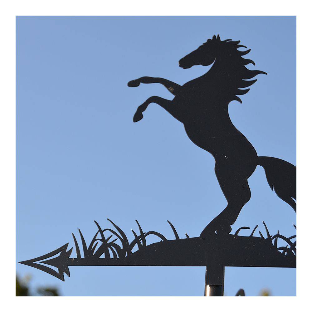 Primus - Girouette en acier noir silhouette Cheval cabré - Imagen 4