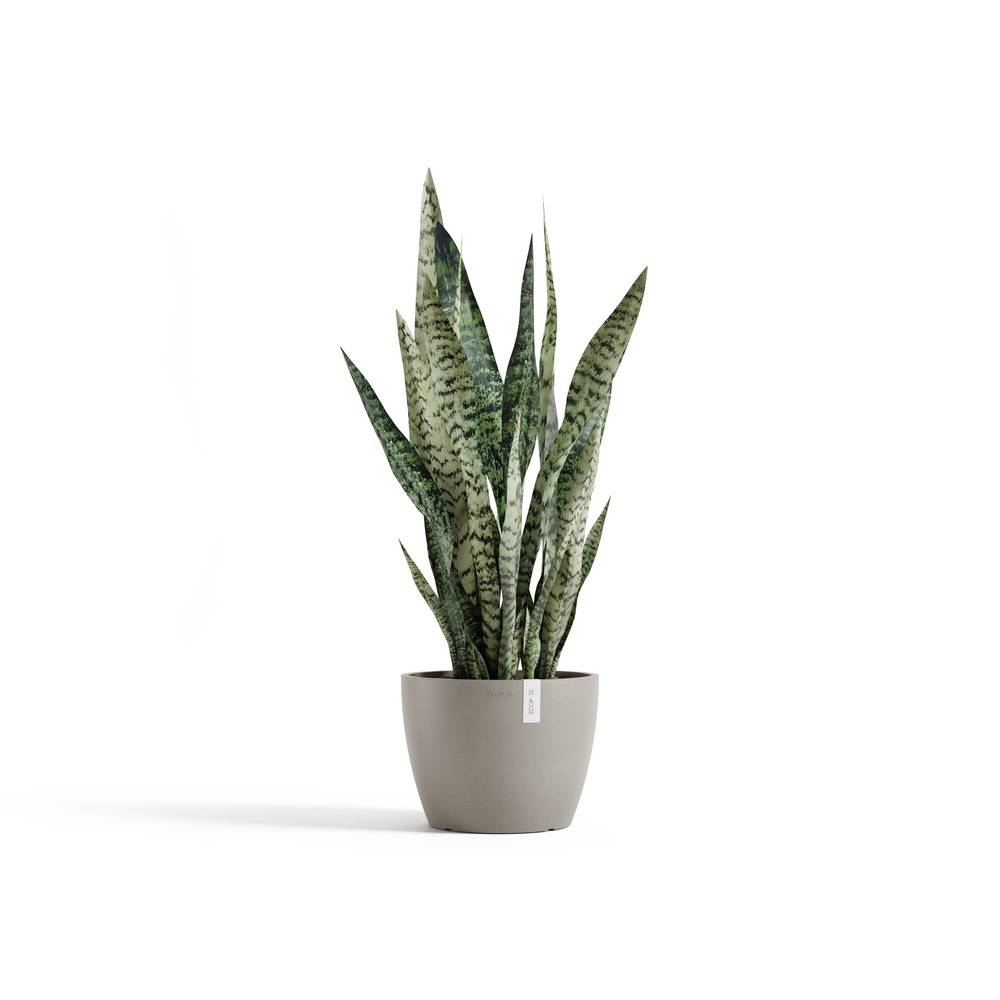 Ecopots - Pot Rond Stockholm 24 Taupe - Ø 23,2 x H. 17,6 cm - 5,4 L ECOPOTS - Imagen 1