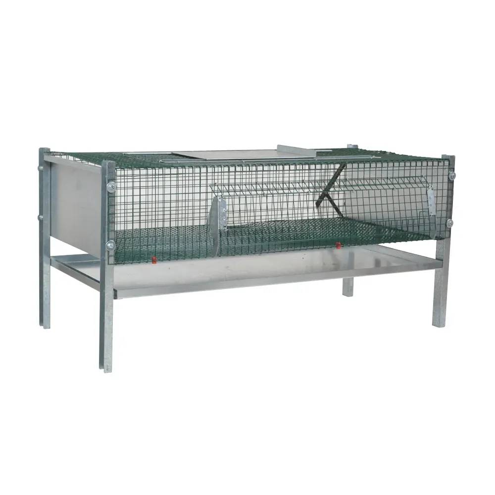 Cage d'engraissement en maille galvanisée thermolaquée pour cailles - Image 1
