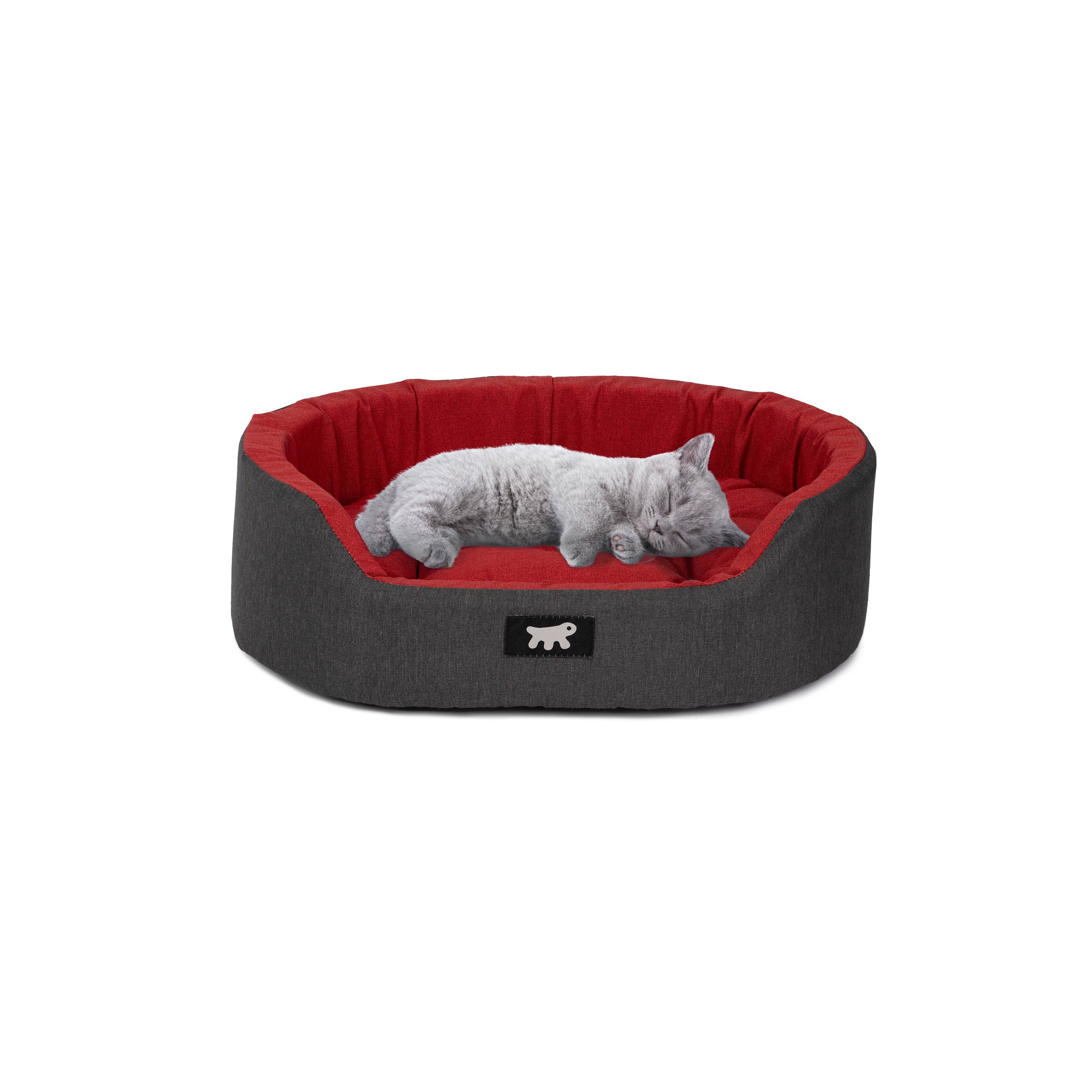 Ferplast - Ferplast Panier Chien Dandy, Coussin Amovible et Lavable, Housse en Coton avec Rembourrage Doux, Idéale également comme Niche pour Chat, 45 x 35 x H - Imagen 4