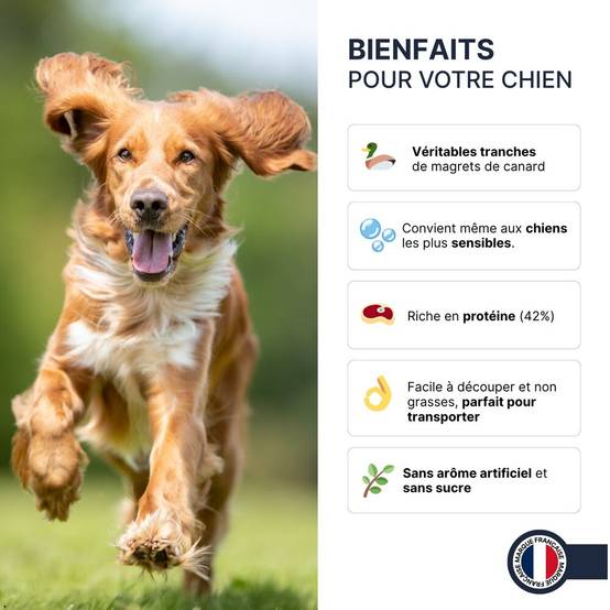 France Croquettes - friandise pour chien Aiguillettes de Poulet – 500gr – 100% naturel – France croquettes - Imagen 3