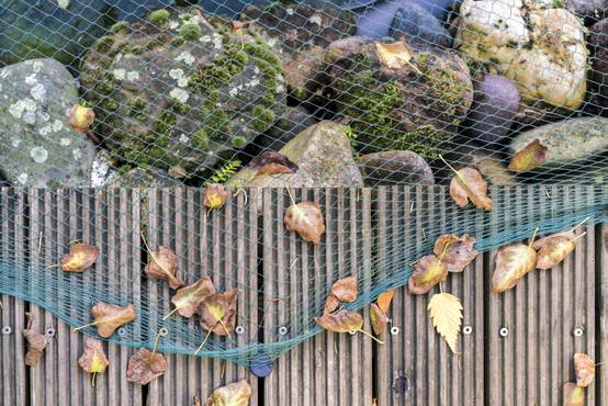 Filet de bassin 5 m x 6 m, filet à feuilles, filet, filet de protection contre les oiseaux, robuste - Image 7