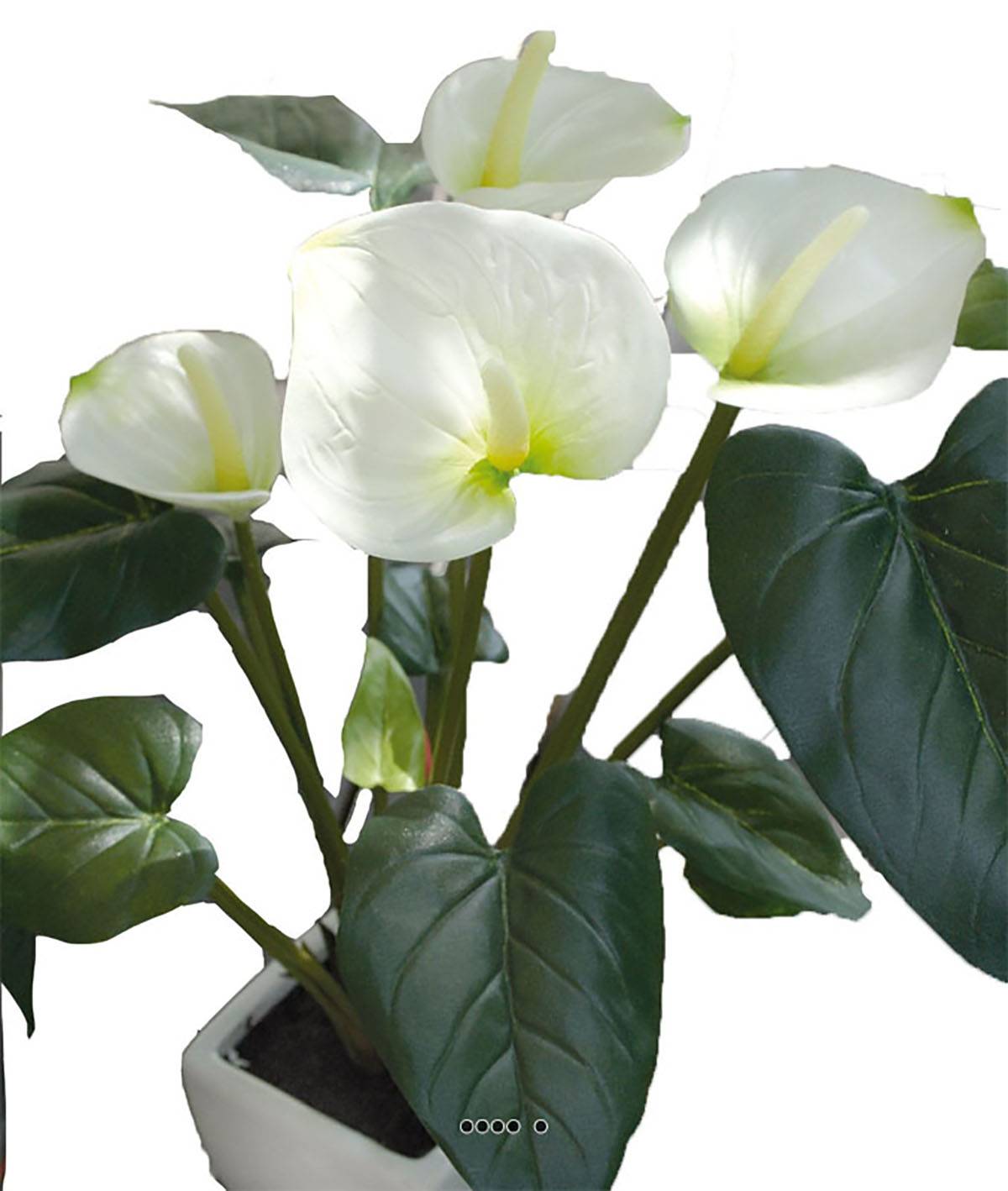 Artificielles - Superbe anthurium artificiel en pot H 41 cm Jaune-vert - couleur: Jaune-vert - Imagen 1