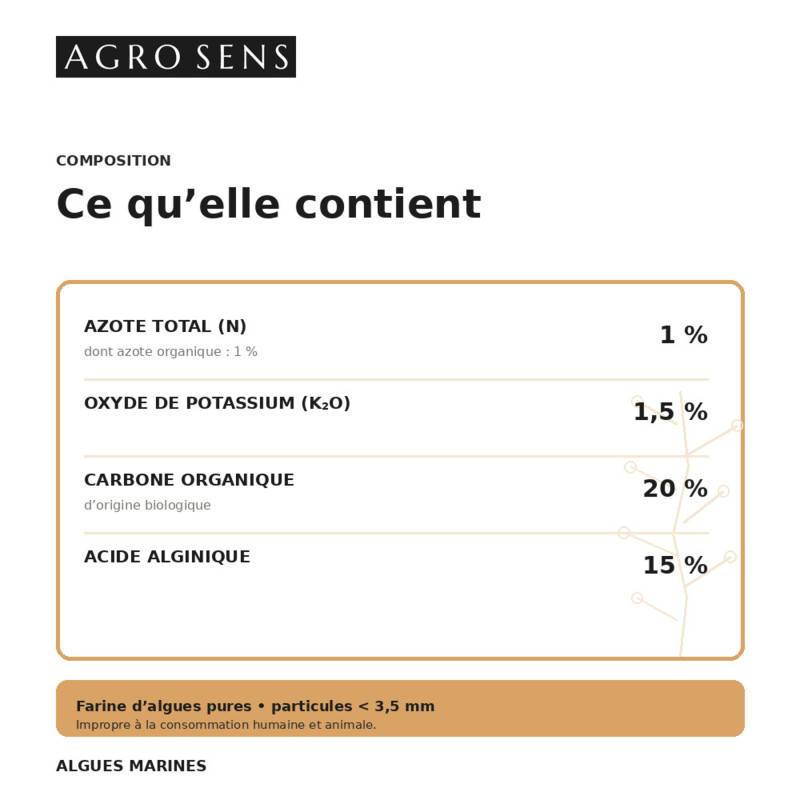 Algues pures en poudre pour le jardin - Sachet 1 kg - Image 7