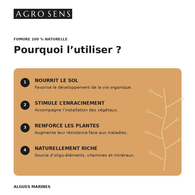 Algues pures en poudre pour le jardin - Sachet 1 kg - Image 4