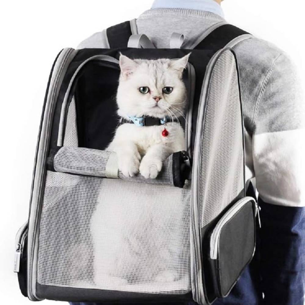 IntiMeg - Sac à dos pour animaux de compagnie noir IntiMeg - Image 4