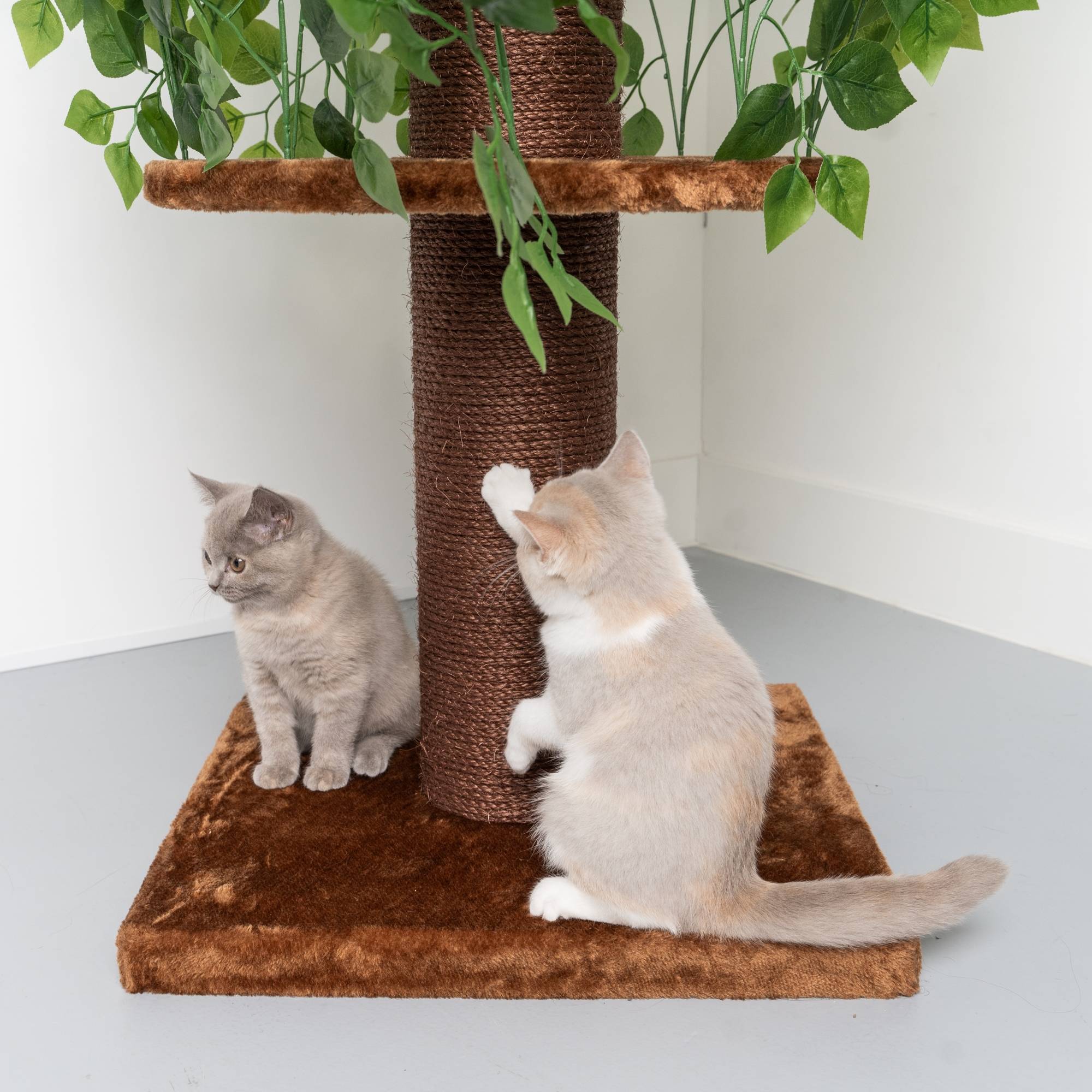 Rhr Concepts Bv - Feuilles naturelles design pour arbre à chat (Marron) - RHR Concepts BV - Imagen 4
