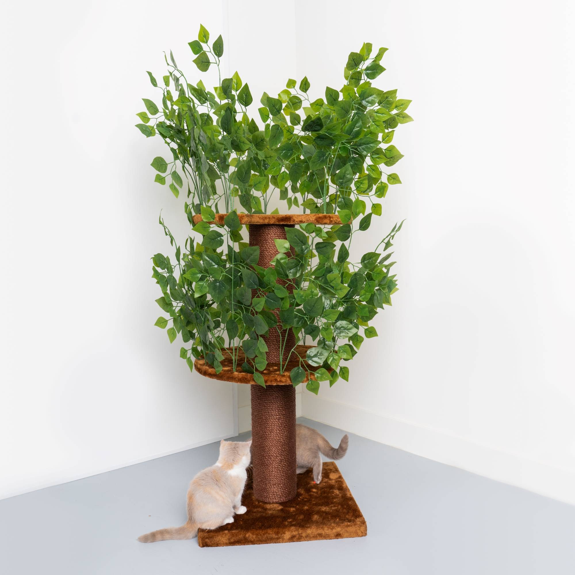 Rhr Concepts Bv - Feuilles naturelles design pour arbre à chat (Marron) - RHR Concepts BV - Imagen 1