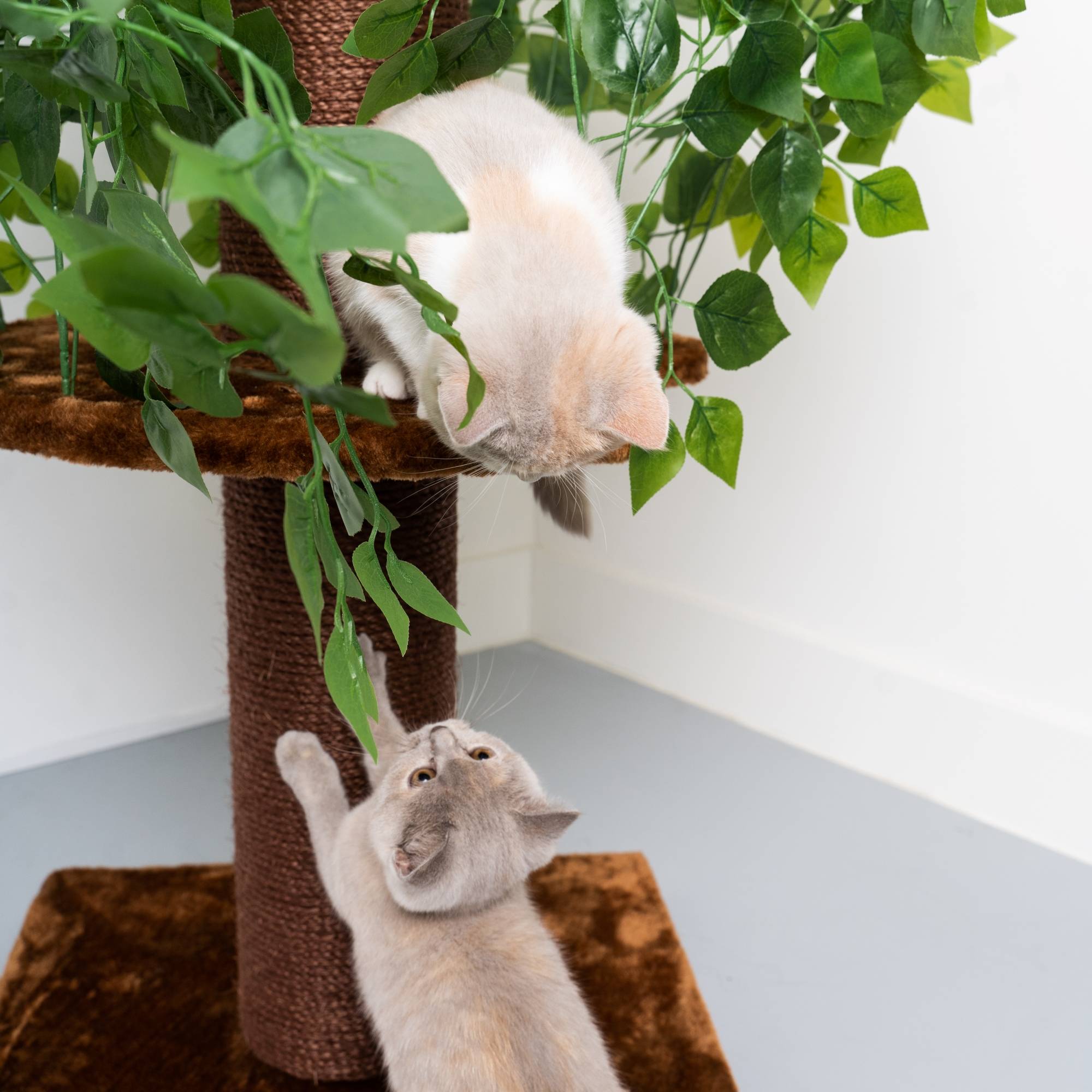 Rhr Concepts Bv - Feuilles naturelles design pour arbre à chat (Marron) - RHR Concepts BV - Imagen 3
