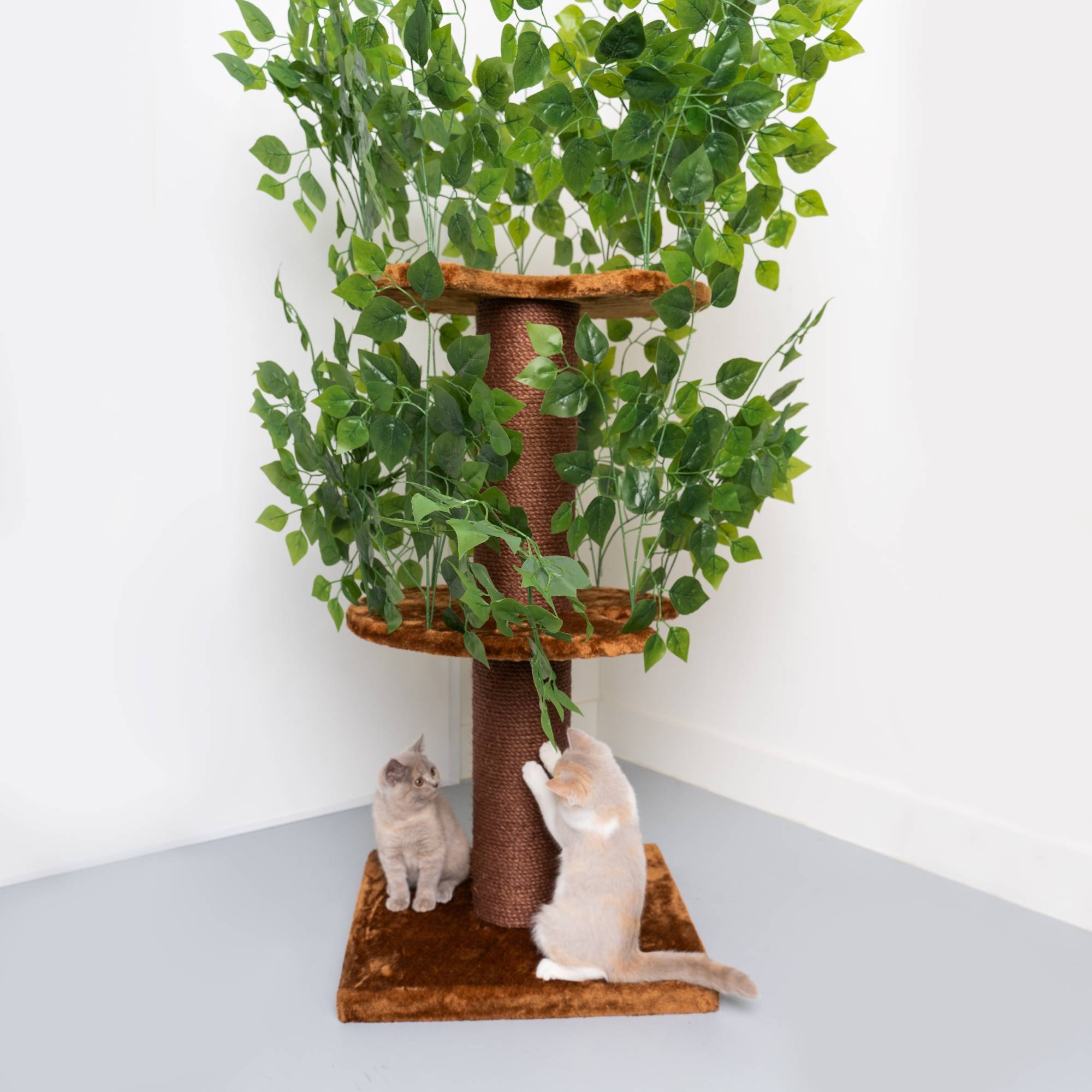 Rhr Concepts Bv - Feuilles naturelles design pour arbre à chat (Marron) - RHR Concepts BV - Imagen 5