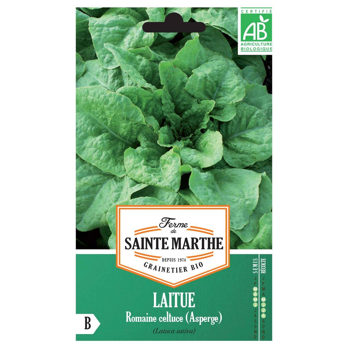 Laitue Romaine Celtuce (Asperge) Bio - Ferme de Sainte Marthe le sachet de 400 graines environ