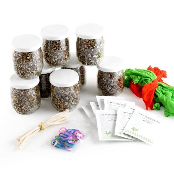Radis et Capucine - Radis et Capucine - Coffret activité - Mr Patate - Image 5