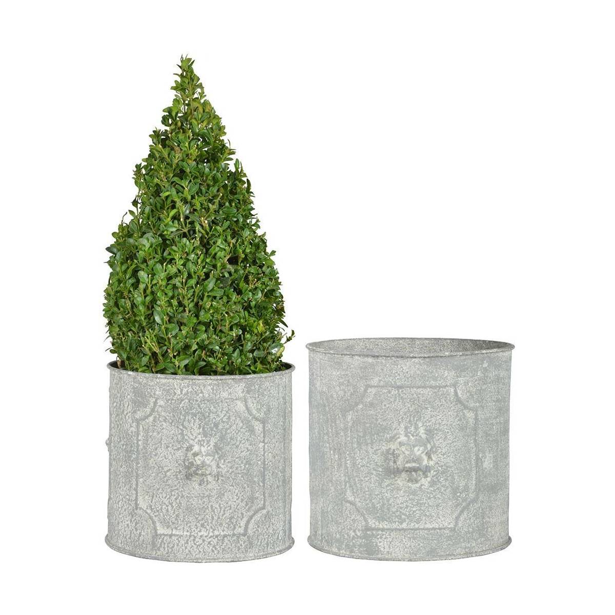 Esschert Design - Pot de fleurs ronds Lion (Lot de 2) - Imagen 1