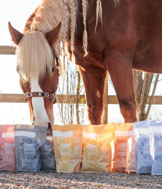 3 Chevaux Rouges Friandises naturelles chevaux - Fruits rouges / Pomme - 800g - Jardiland