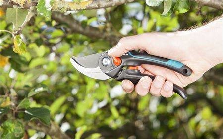 Gardena - Sécateur ajustable à lames franches Comfort Gardena - Imagen 4