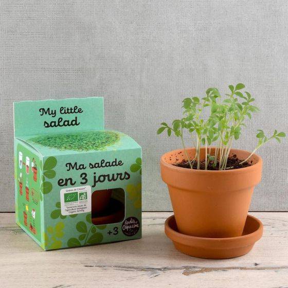 Radis et Capucine - Radis et Capucine - Kit plantation - Salade de cresson bio - 8cm - Imagen 2