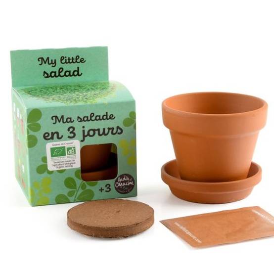 Radis et Capucine - Radis et Capucine - Kit plantation - Salade de cresson bio - 8cm - Imagen 4