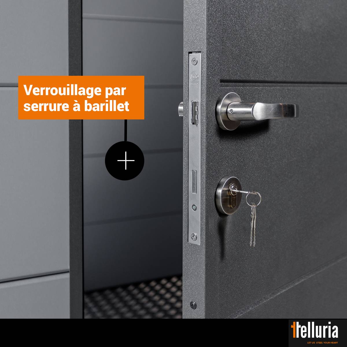 Telluria - Double abri en métal de 11.2m² ( 2 fois 5,6 m² ) anthracite - CLASSICO DUO 2721 TELLURIA - Image 3