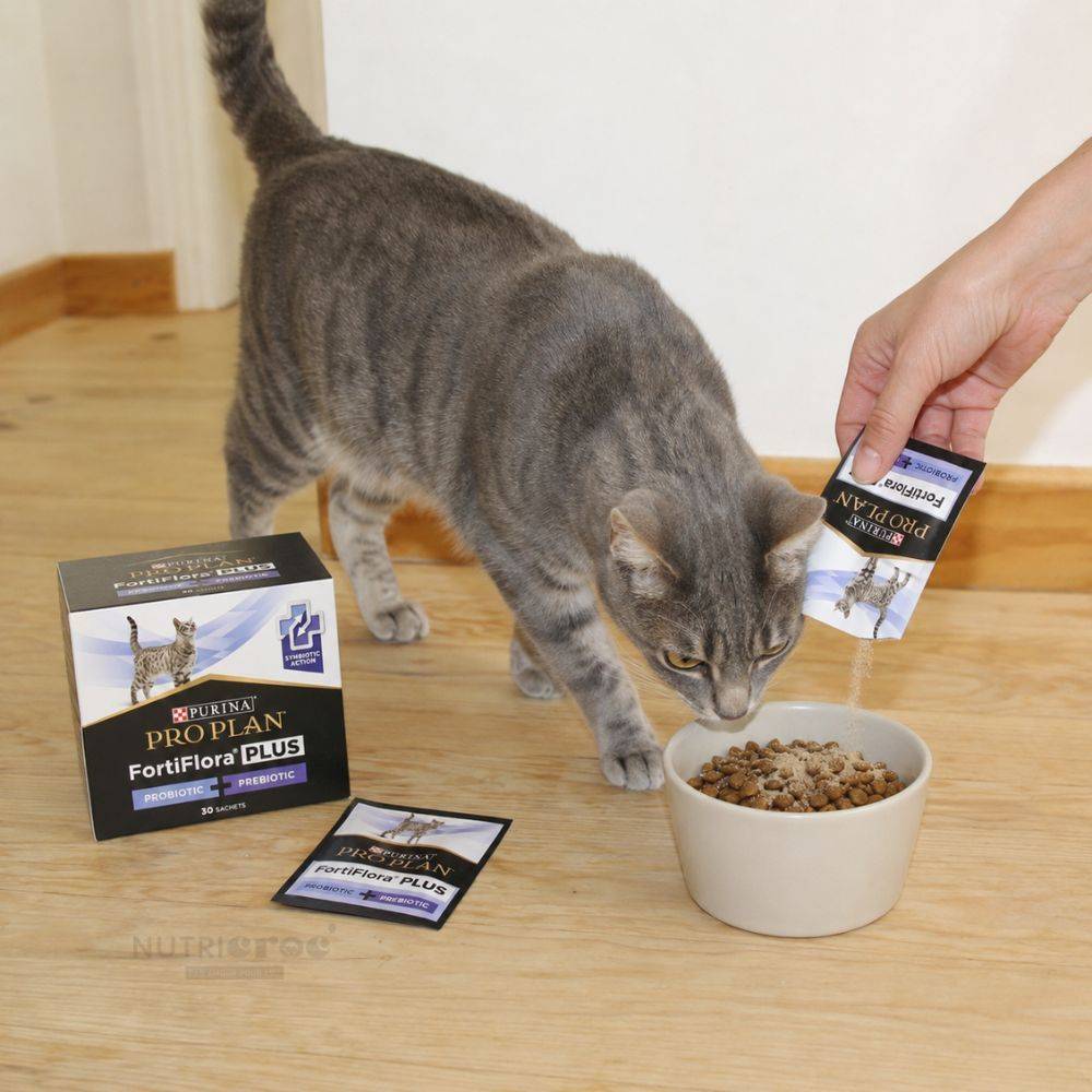 Fortiflora Plus Chat Probiotiques + Prébiotiques Chat - Pro Plan Veterinary Diets 45 g - Image 2