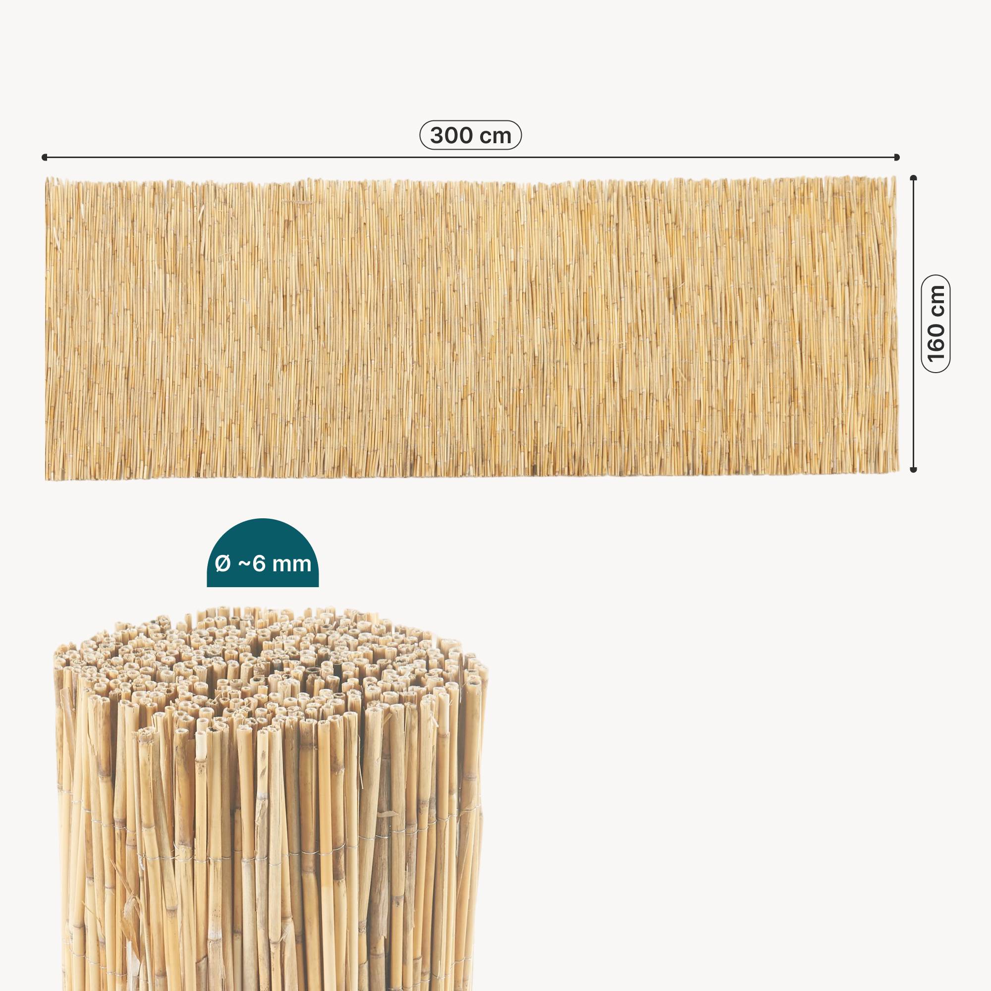 Casa.Pro - Canisse en roseau Abbateggio 160 x 300 cm naturel casa.pro - Imagen 8