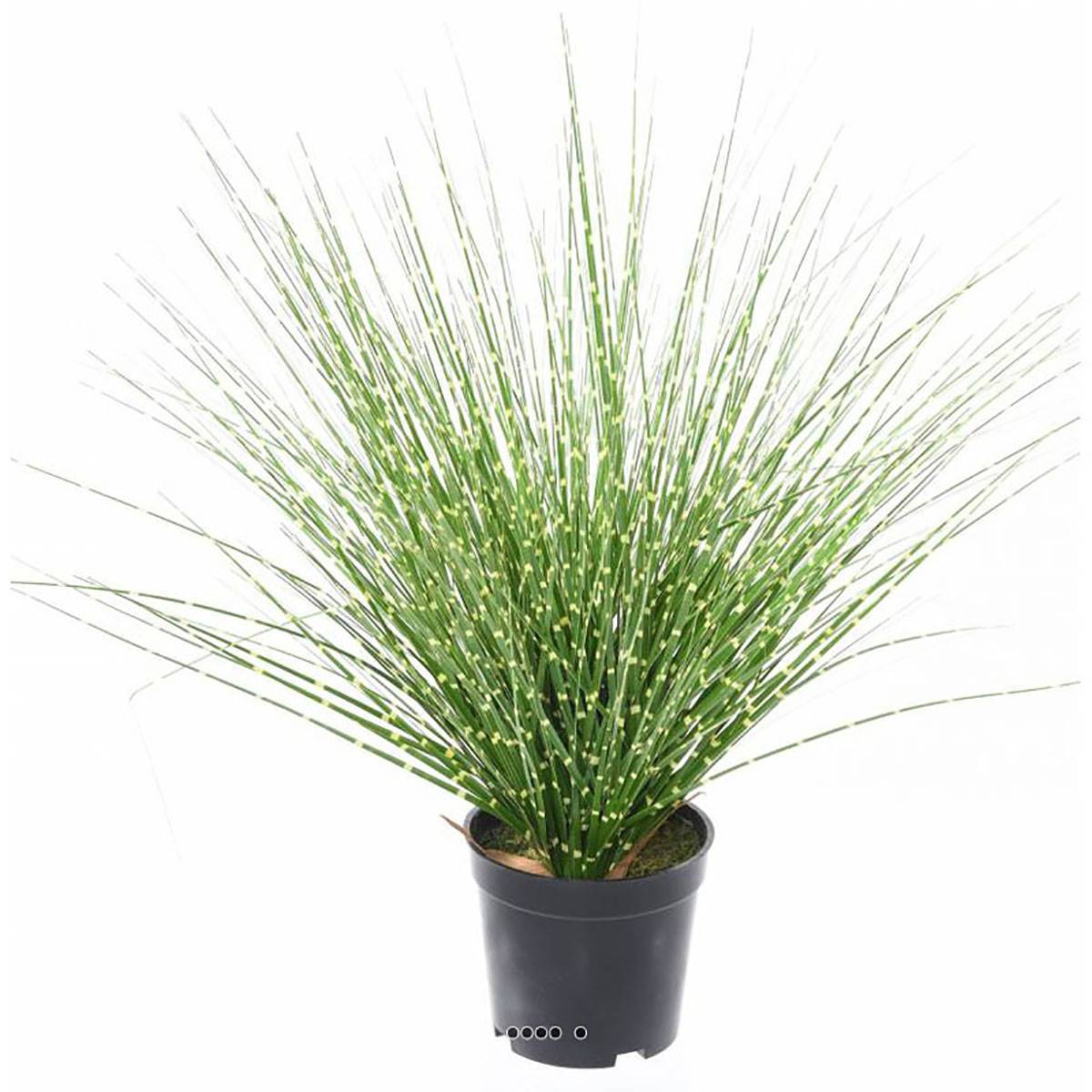 Artificielles - Fausse herbe miscanthus en touffe zébrée H 45 cm D 30 cm - Imagen 2