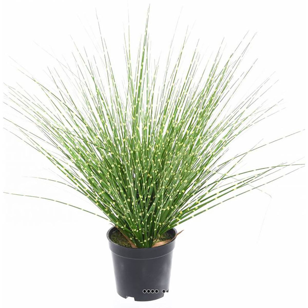 Artificielles - Fausse herbe miscanthus en touffe zébrée H 45 cm D 30 cm - Imagen 1