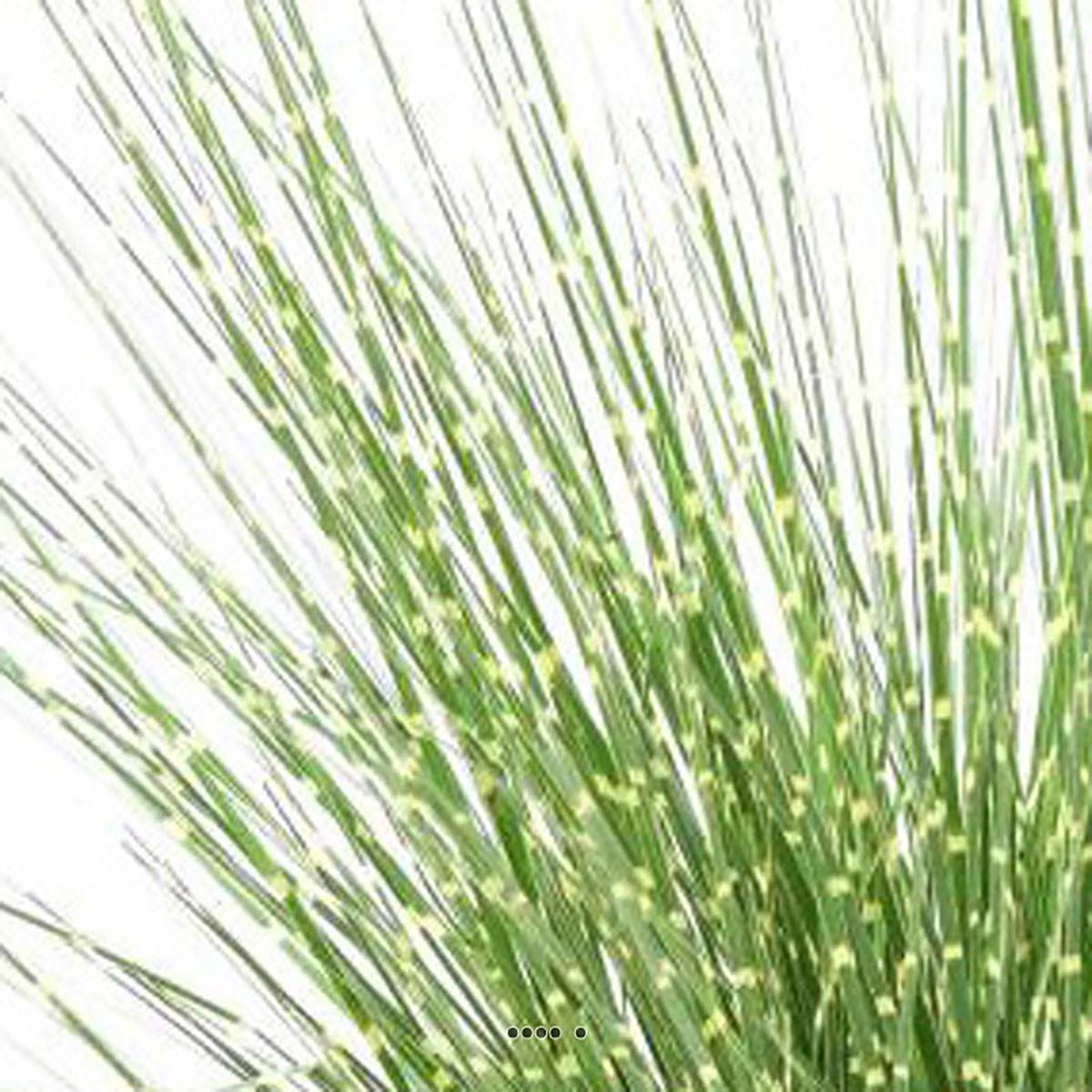 Artificielles - Fausse herbe miscanthus en touffe zébrée H 45 cm D 30 cm - Imagen 3