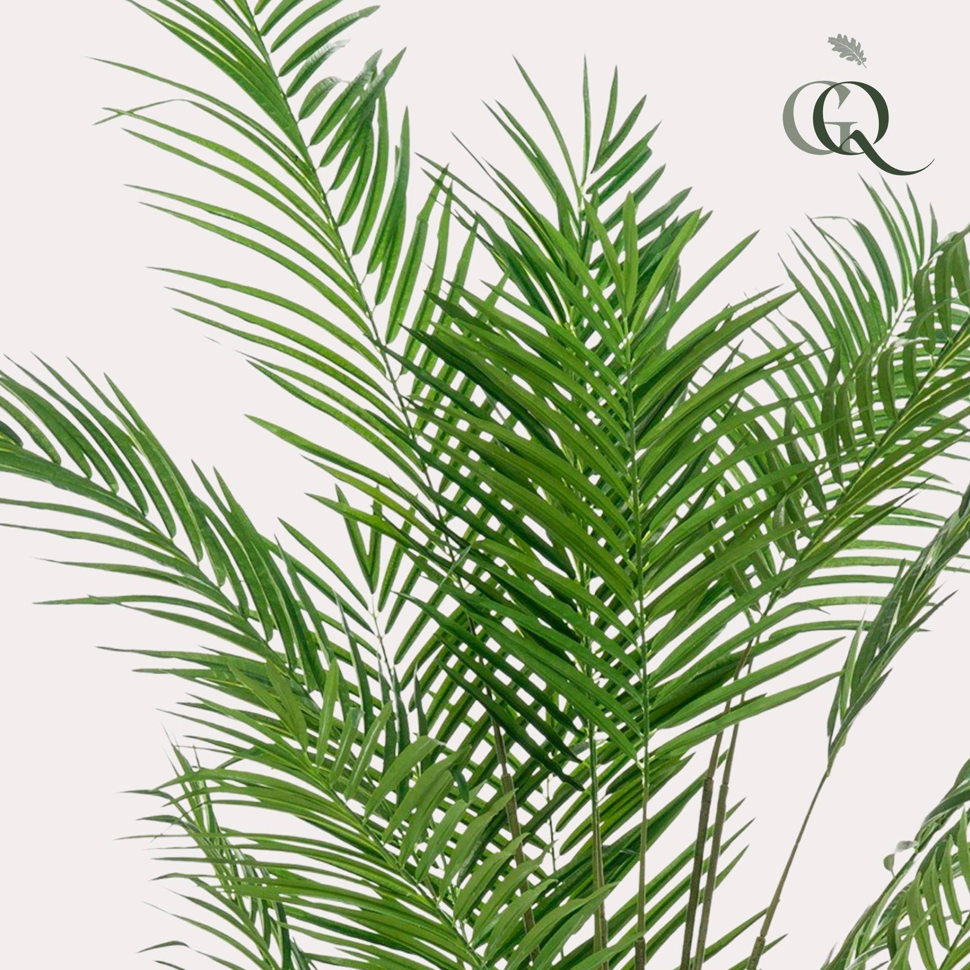 La Green Touch - Areca Lutescens plante artificielle - h180cm, Ø17cm- La Green Touch - Imagen 2