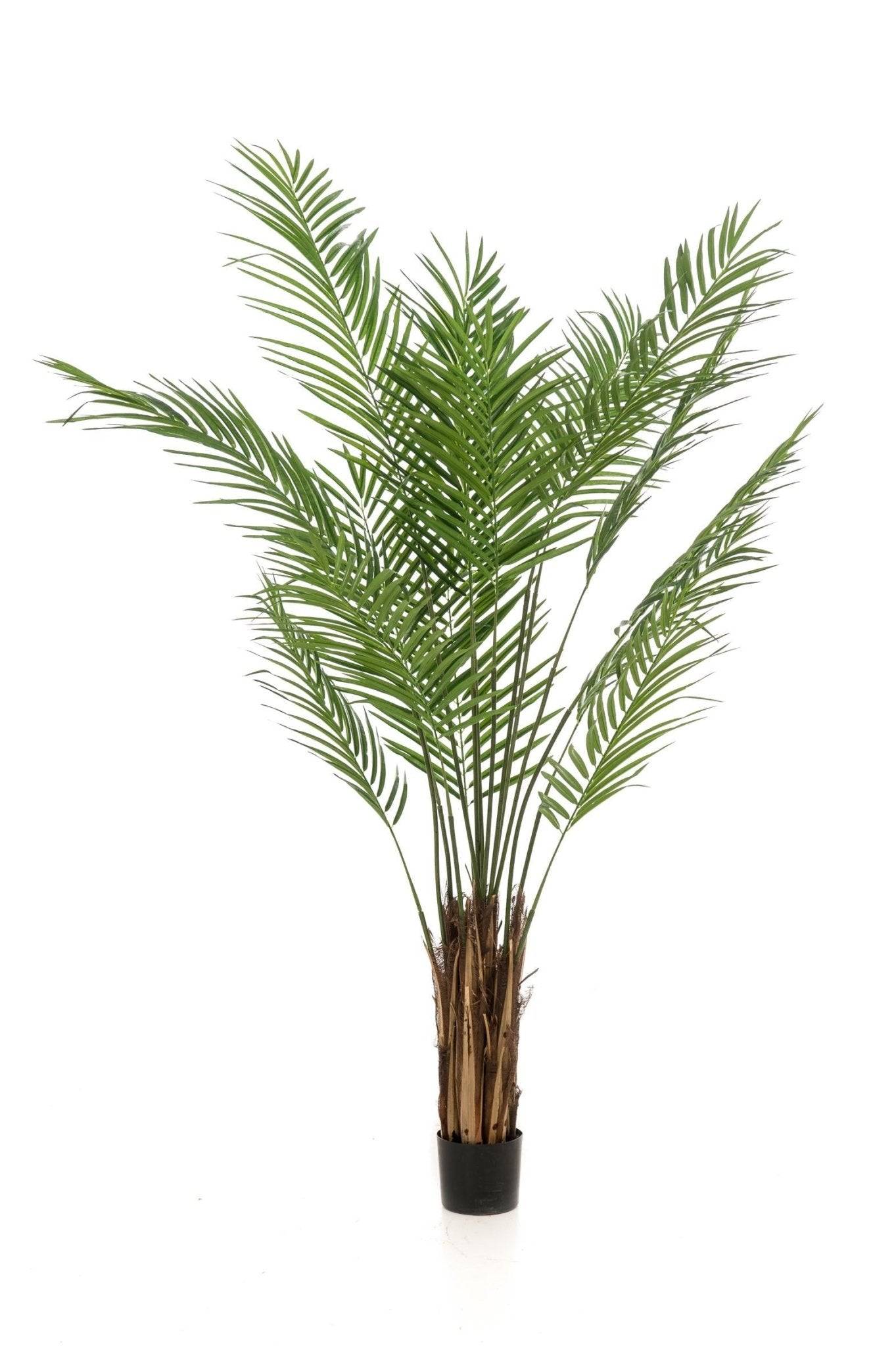 La Green Touch - Areca Lutescens plante artificielle - h180cm, Ø17cm- La Green Touch - Imagen 5
