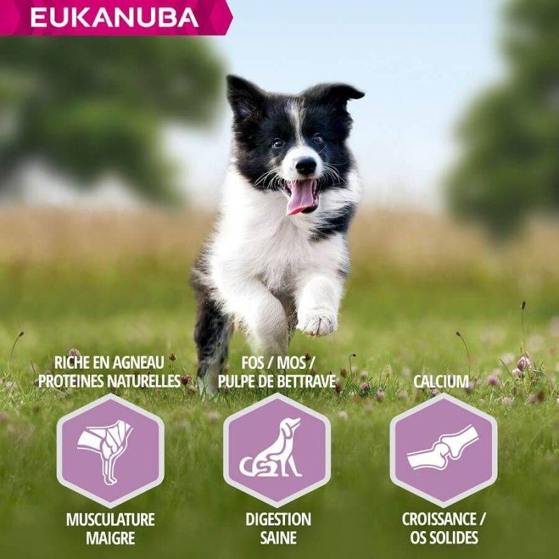 Eukanuba - CROQUETTES CHIEN PUPPY JUNIOR AGNEAU SMALL / MEDIUM - EUKANUBA 12 kg - Imagen 4