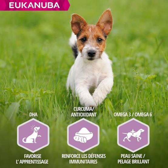 Eukanuba - CROQUETTES CHIEN PUPPY JUNIOR AGNEAU SMALL / MEDIUM - EUKANUBA 12 kg - Imagen 5