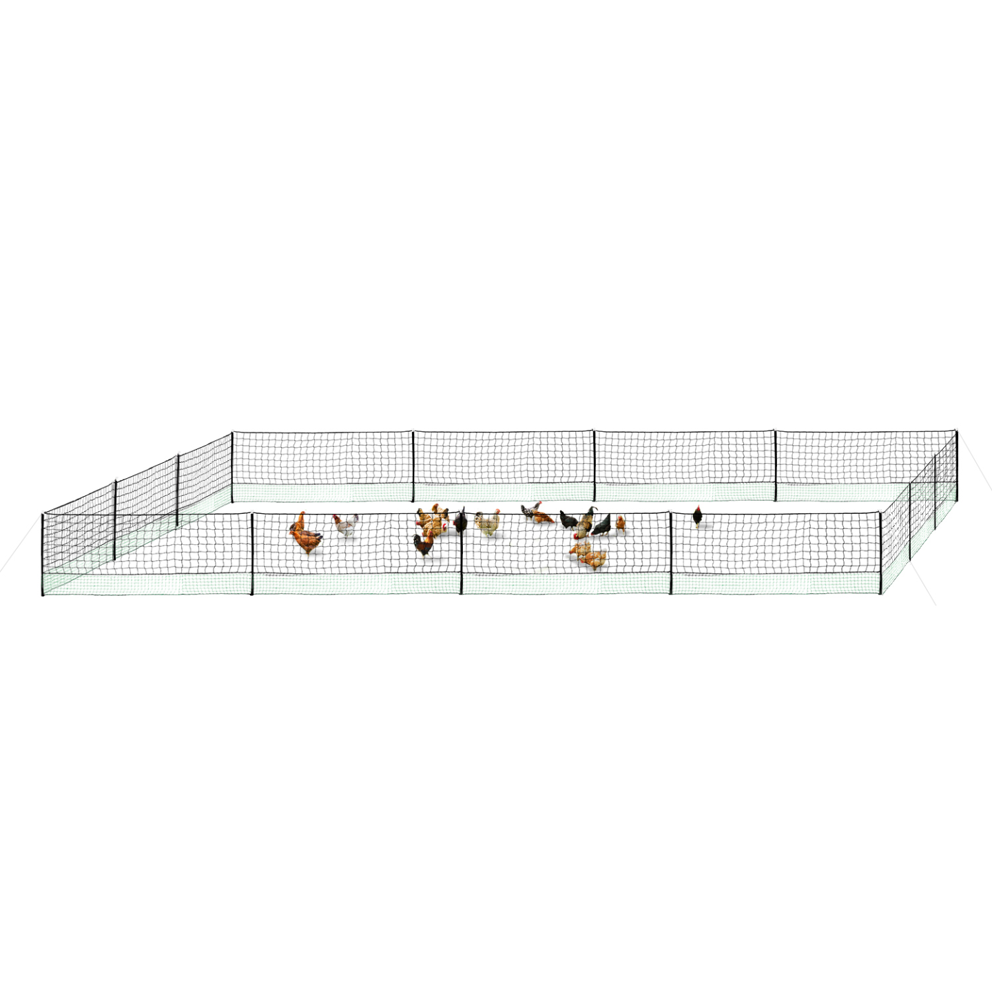 Kit clôture filet à poules 50 M avec porte 15 piquets double pointe - Image 9