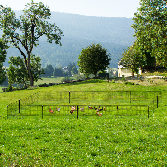 Kit clôture filet à poules 50 M avec porte 15 piquets double pointe - Image 8