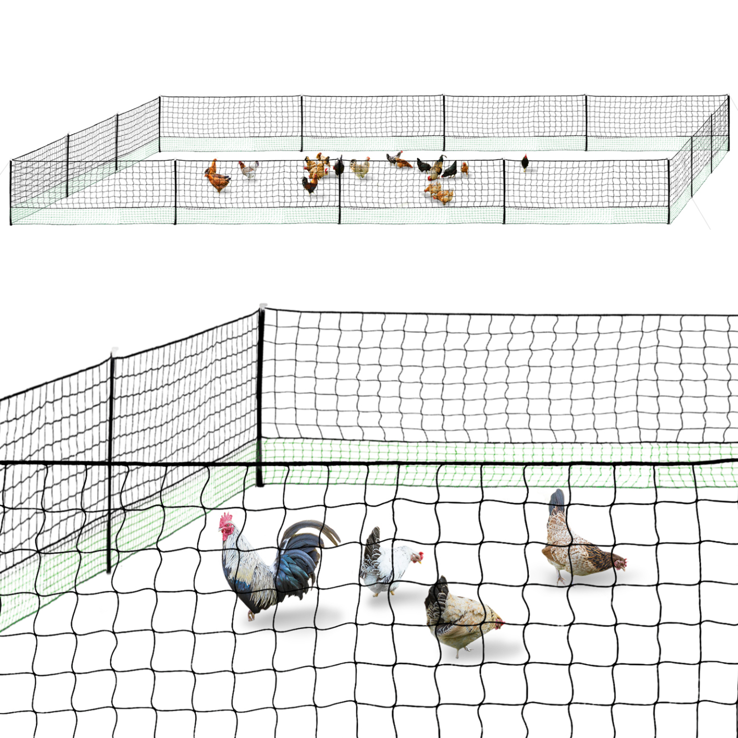 Kit clôture filet à poules 50 M avec porte 15 piquets double pointe - Image 2