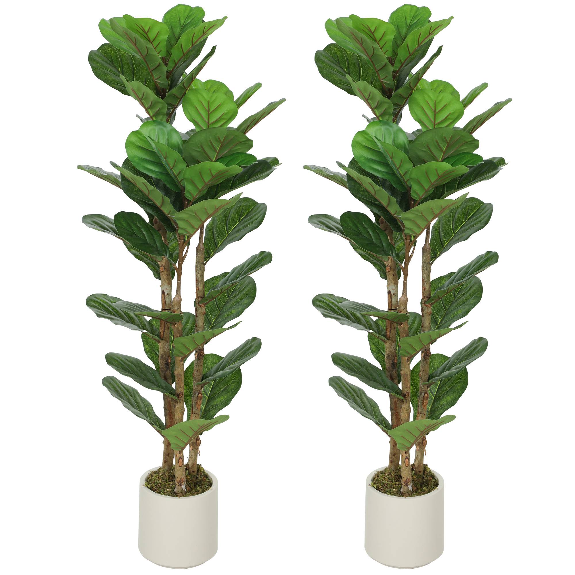 Sans Marque - Lot de 2 plantes artificielles 120 cm Figuier lyre arbre artificiel avec pot en plastique et tronc en bois massif, vert - Image 2