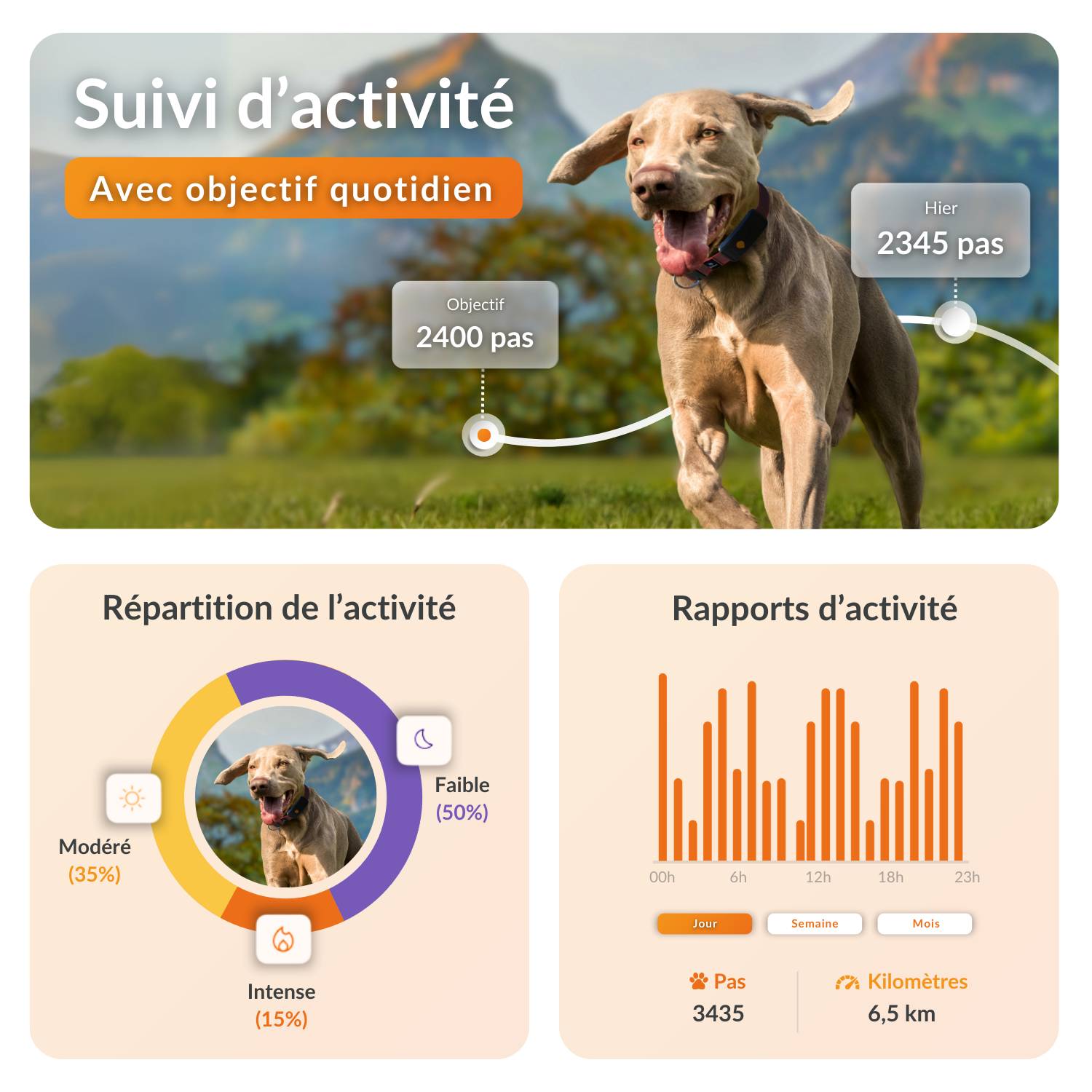 Weenect - Weenect XT - collier gps pour chien (orange) - Image 4