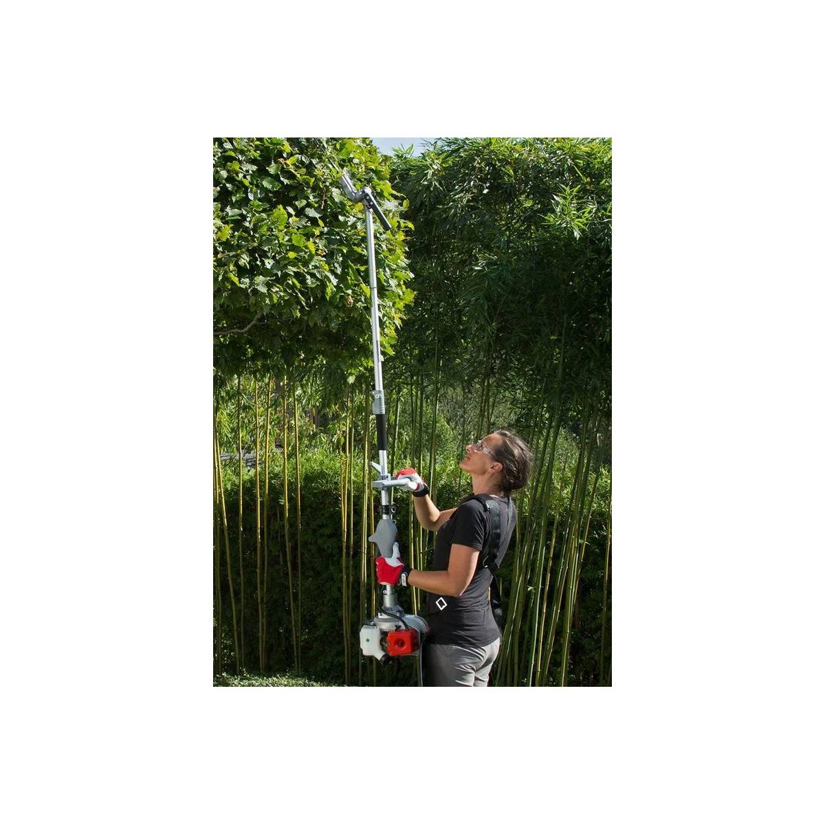 Outils de Jardin Multifonction Thermique 4en1 Taille haie + Élagueuse + Débroussailleuse (lame et bobine) Harnais Confort IKRA - Image 9