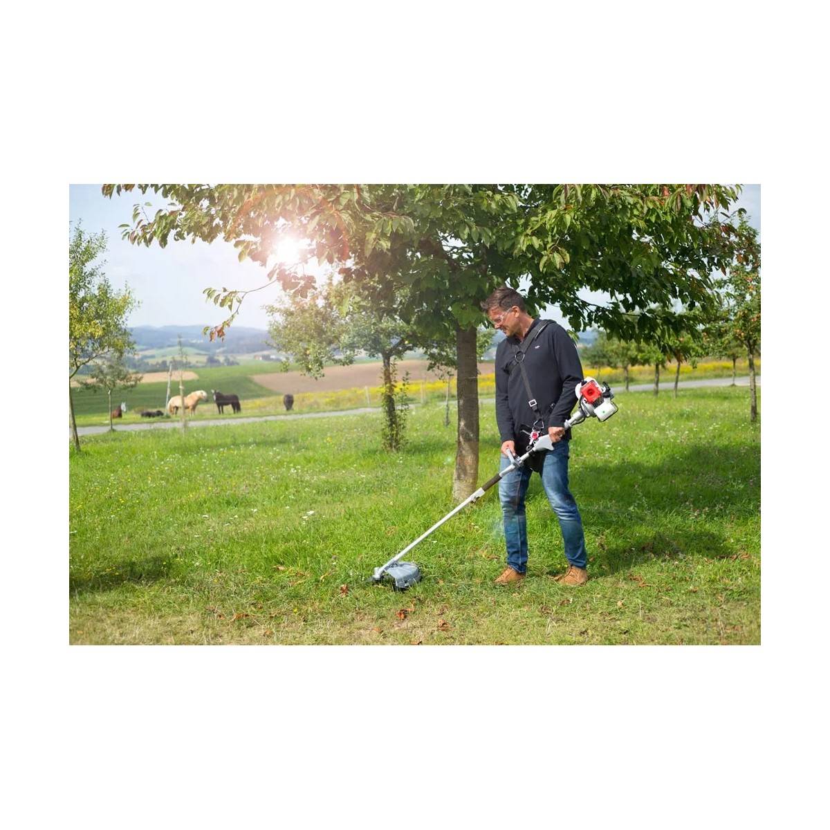 Outils de Jardin Multifonction Thermique 4en1 Taille haie + Élagueuse + Débroussailleuse (lame et bobine) Harnais Confort IKRA - Image 2