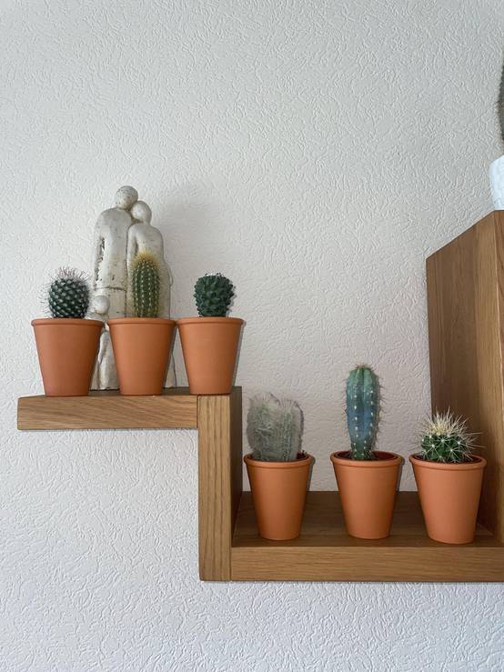 La Green Touch - Ensemble de 6 Cactus en Terracotta- La Green Touch - Image 3