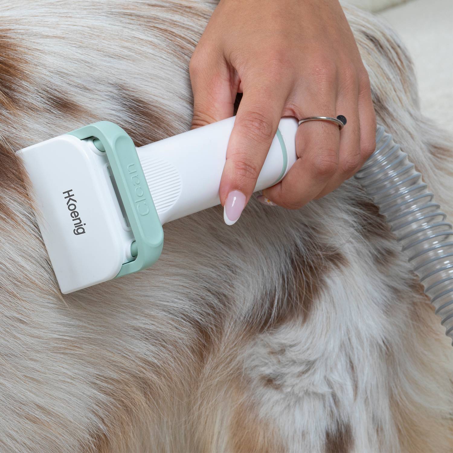 H.Koenig - Aspirateur pour toilettage d'animaux de compagnie - PAW400 H.Koenig - Image 8