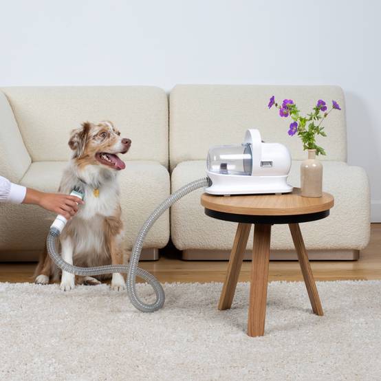 H.Koenig - Aspirateur pour toilettage d'animaux de compagnie - PAW400 H.Koenig - Image 9
