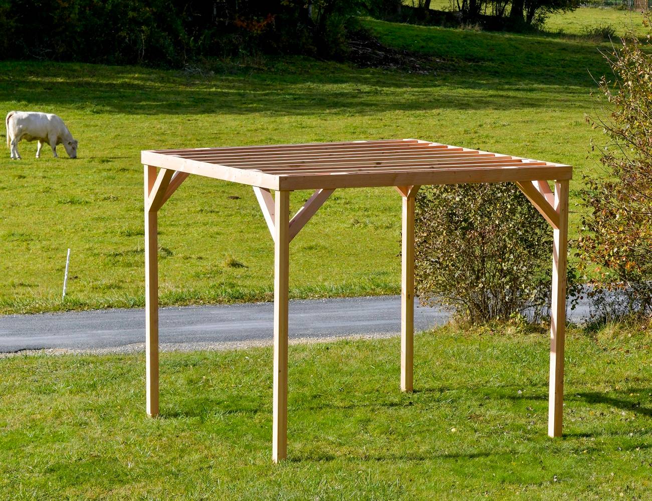 Mon Petit Potager - Pergola en bois Douglas - mon PETIT POTAGER - Image 3